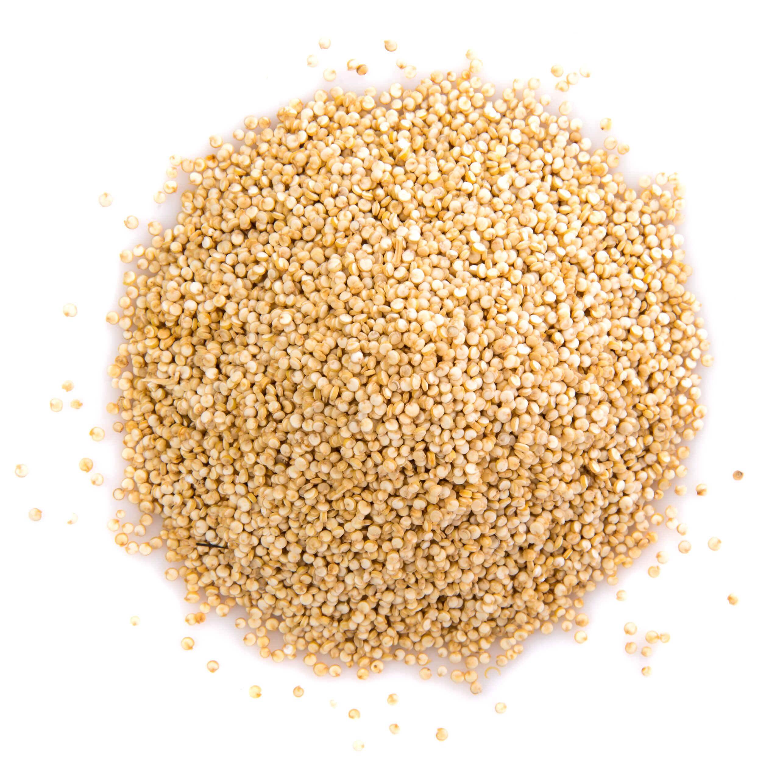 Quinoa/dishdelight/dishdelish.site